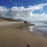 4 Star In * Løkken
